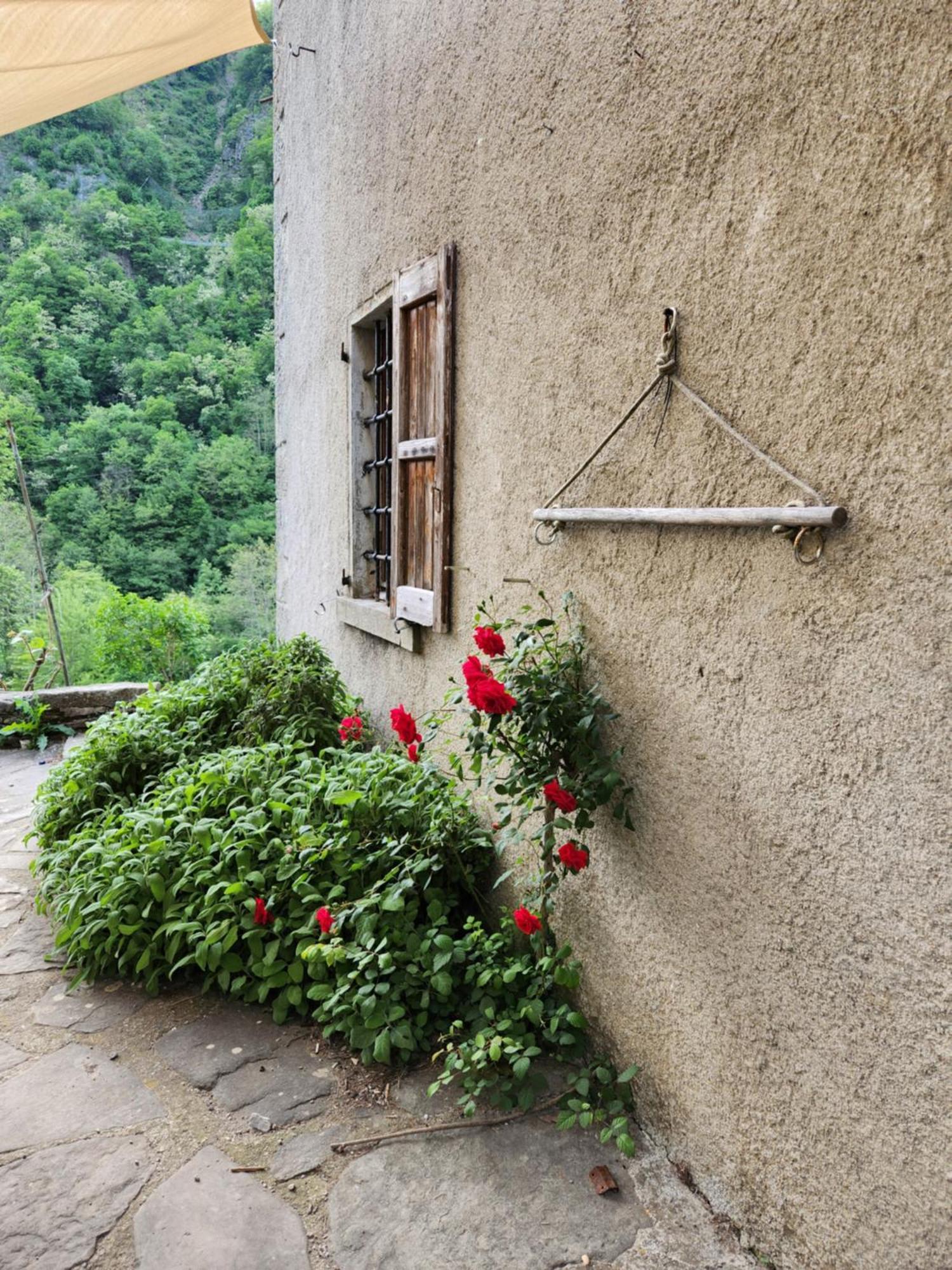 Contea Del Piano Villa Piteglio Exteriör bild