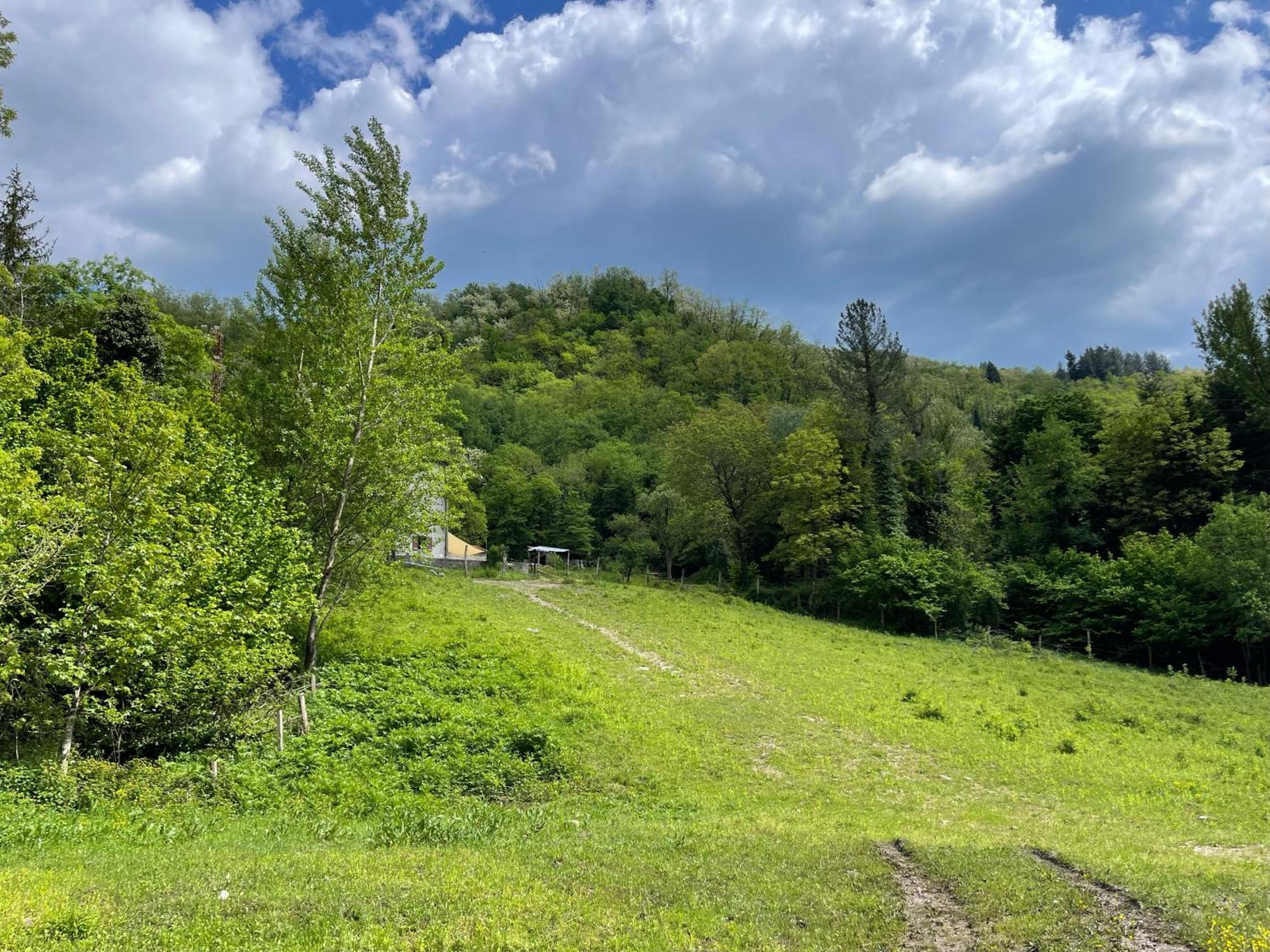 Contea Del Piano Villa Piteglio Exteriör bild