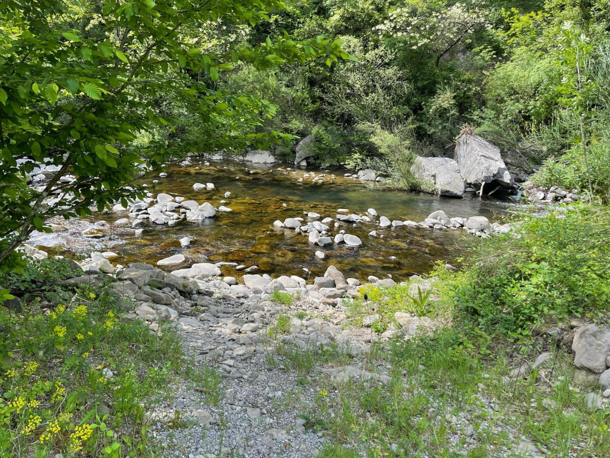 Contea Del Piano Villa Piteglio Exteriör bild