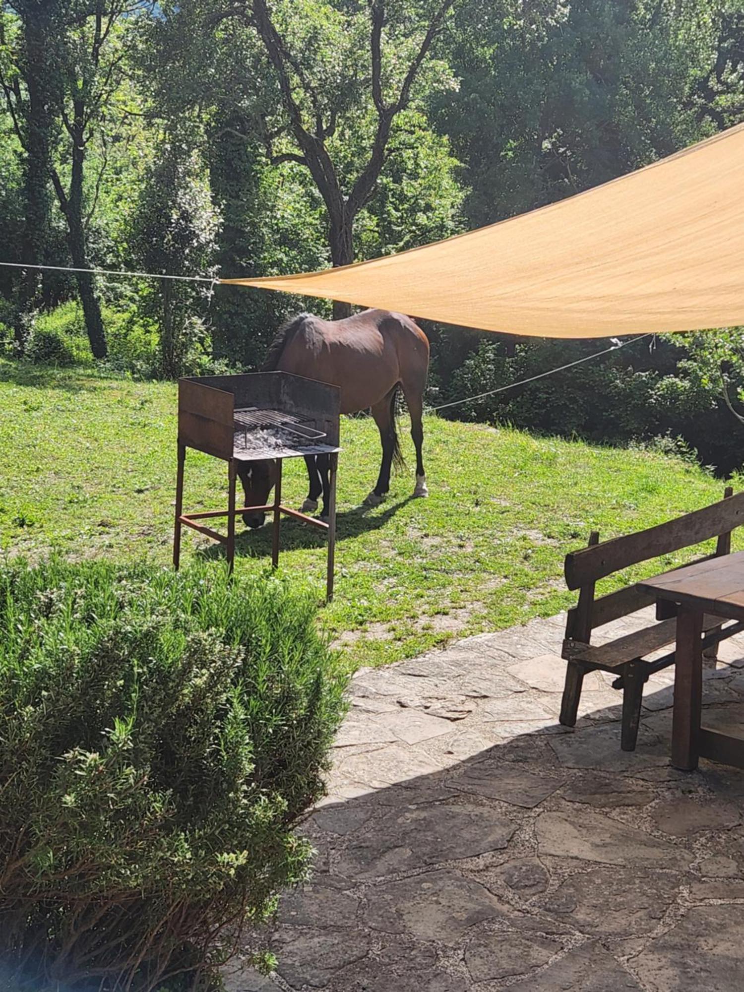 Contea Del Piano Villa Piteglio Exteriör bild